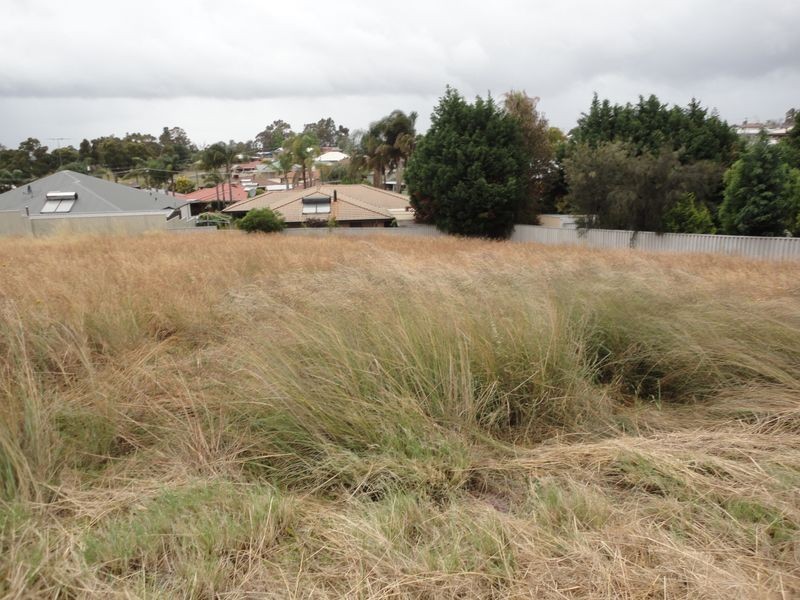 3 Hargreaves Street, Collie WA 6225