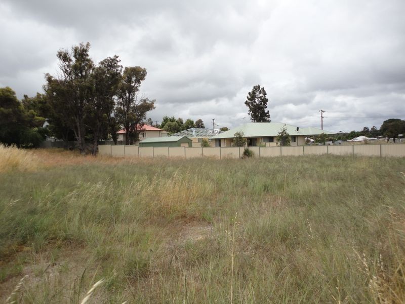 16 Irwin Street, Collie WA 6225