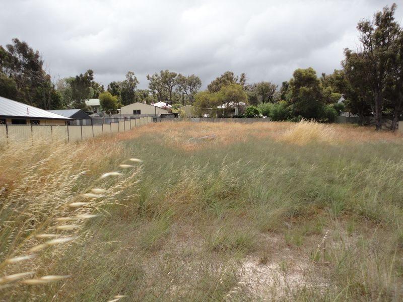 18 Irwin Street, Collie WA 6225