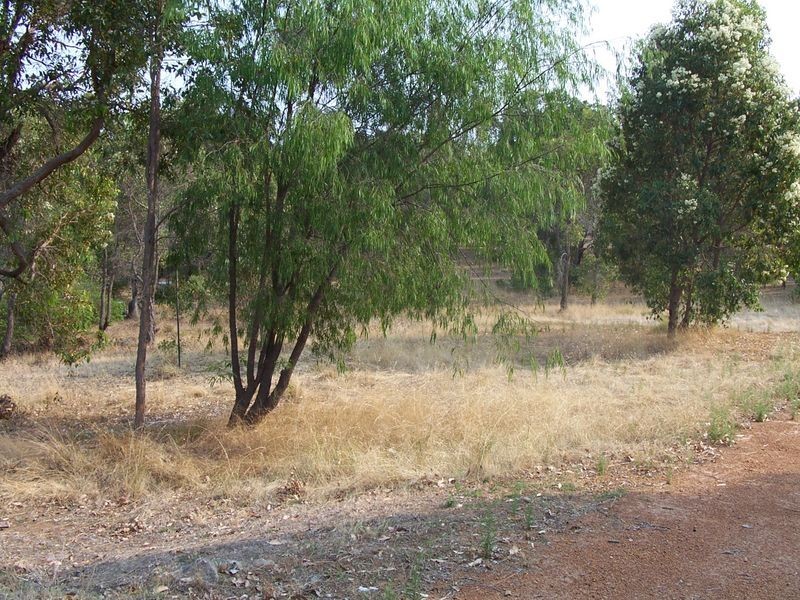 31 McCutcheon Road, Donnybrook WA 6239