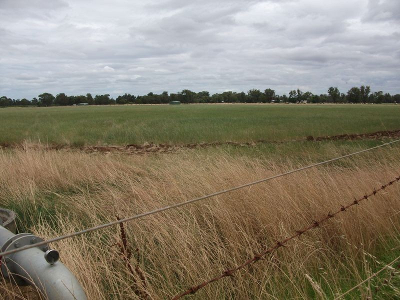 Lot 156 Eighth Street, Harvey WA 6220