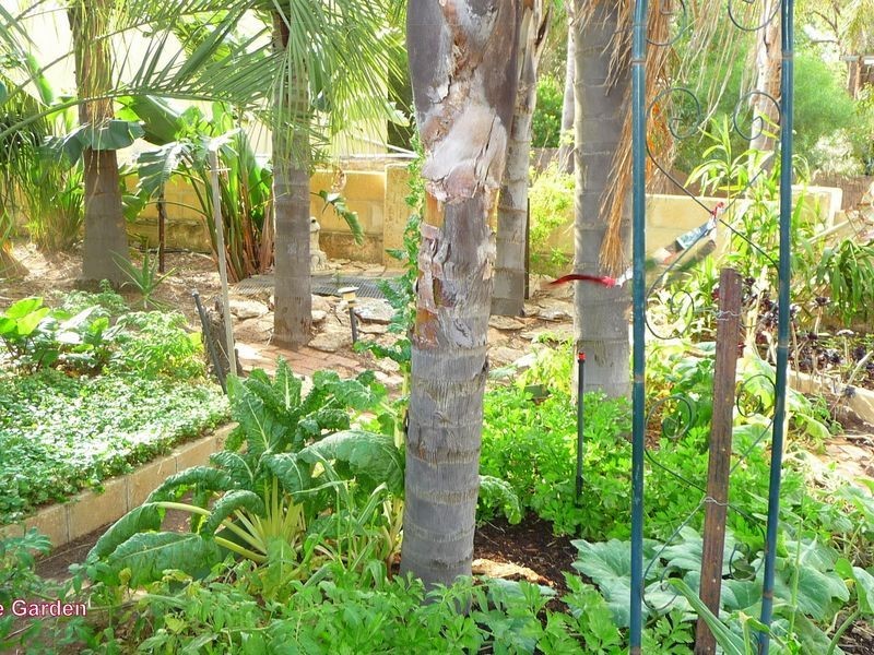 11 Florence Avenue, Narrogin WA 6312