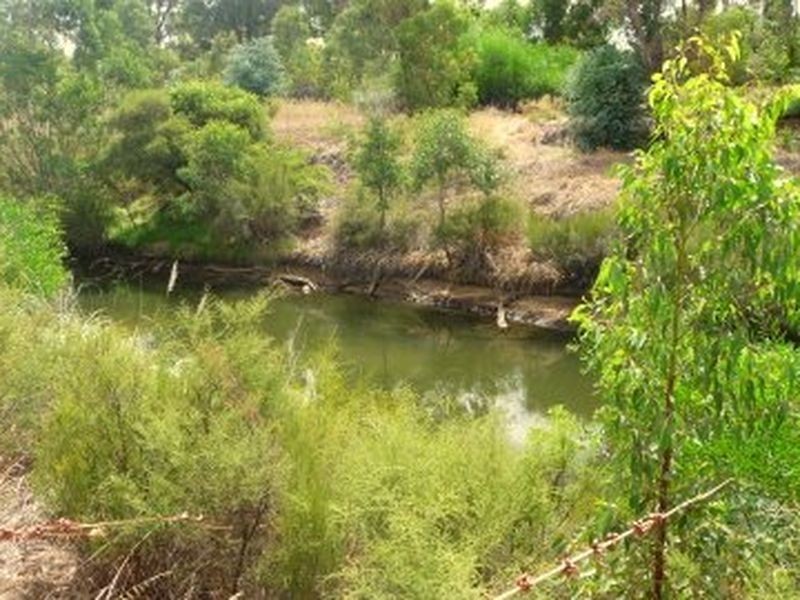 6 Deakin Street, Collie WA 6225