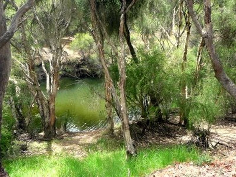 6 Deakin Street, Collie WA 6225