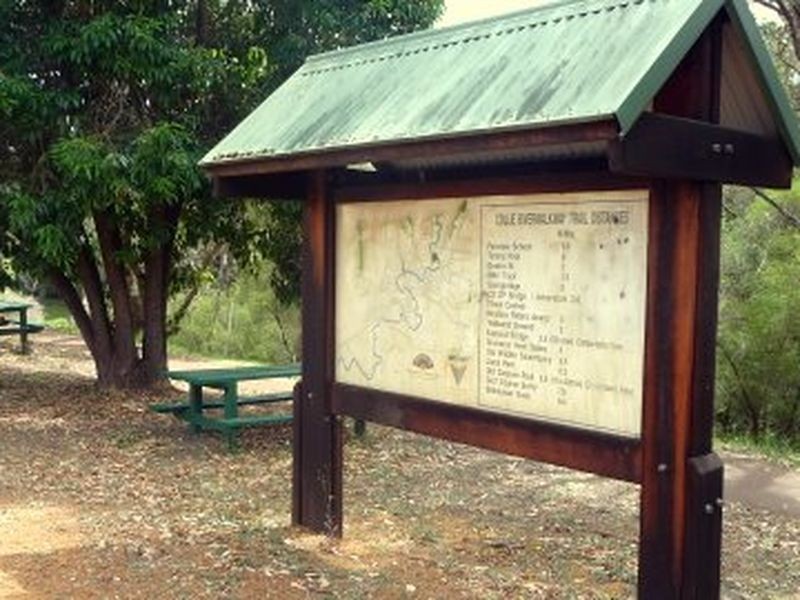 6 Deakin Street, Collie WA 6225