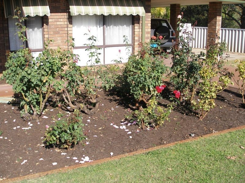 45 Petherick Street, East Bunbury WA 6230