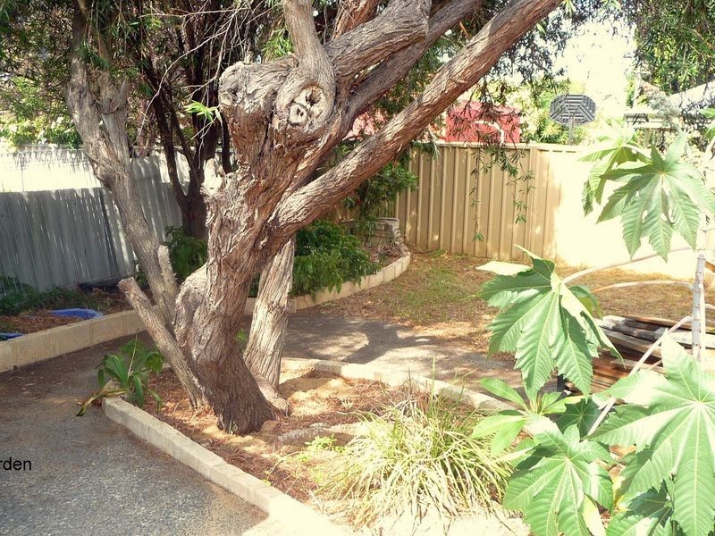 31 Knight Street, Withers WA 6230