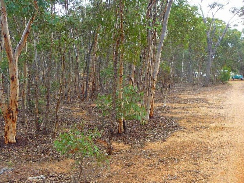 8 Burley Street, Highbury WA 6313