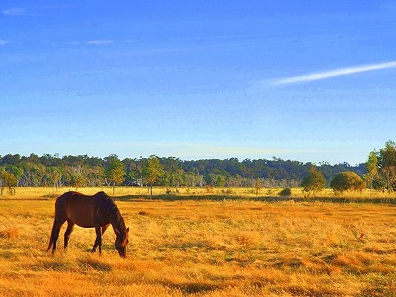 75 Lockville Road, Busselton WA 6280