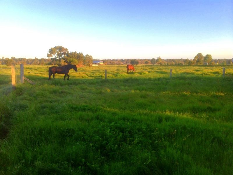 75 Lockville Road, Busselton WA 6280