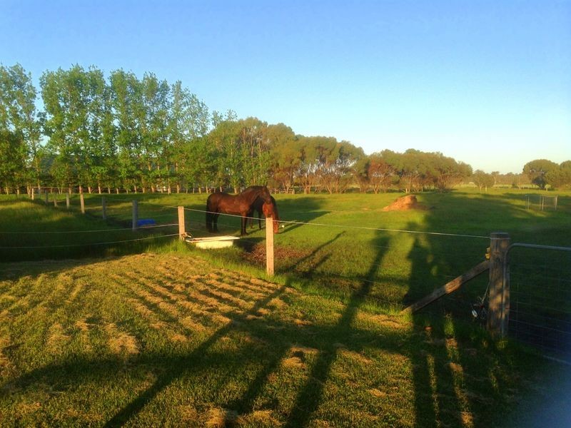 75 Lockville Road, Busselton WA 6280