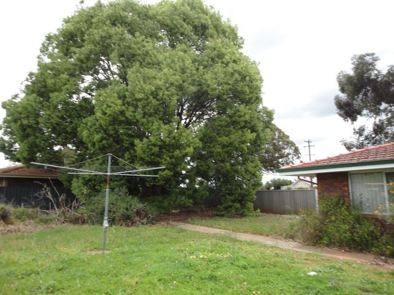 501 Bridge Street, Donnybrook WA 6239