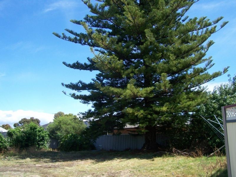 37 B Frankel Street, Carey Park WA 6230