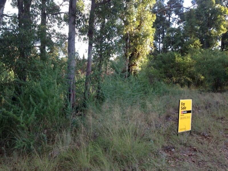 11 Park Street, Collie WA 6225