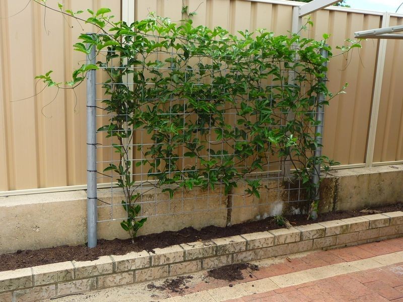 1 Chevoit Way, Eaton WA 6232