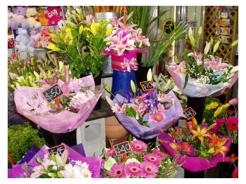 Biggera Waters QLD 4216