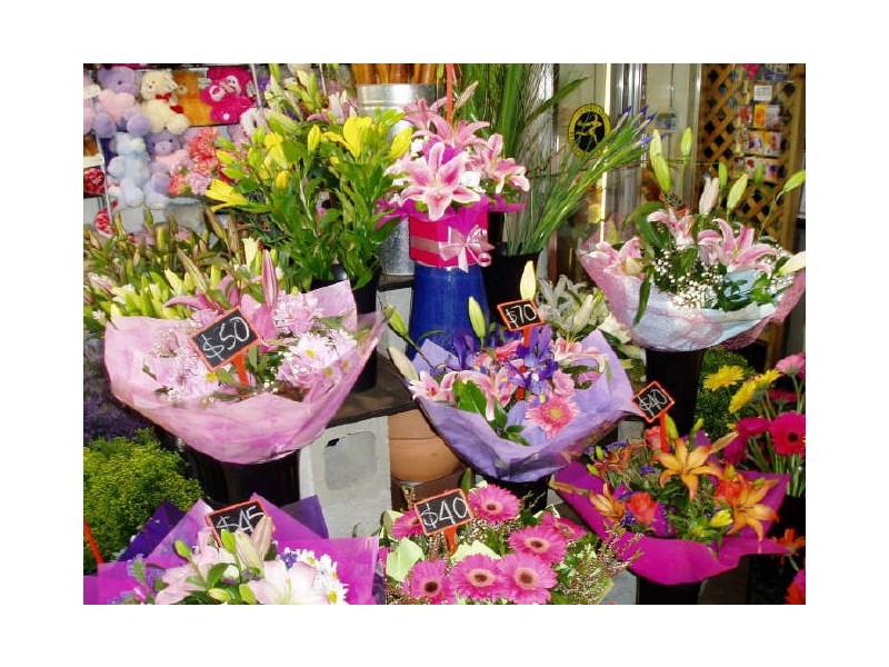 Biggera Waters QLD 4216