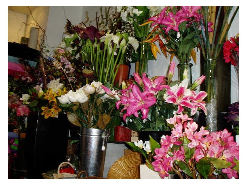 Biggera Waters QLD 4216