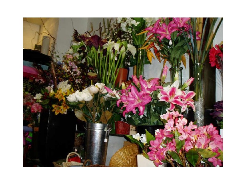 Biggera Waters QLD 4216