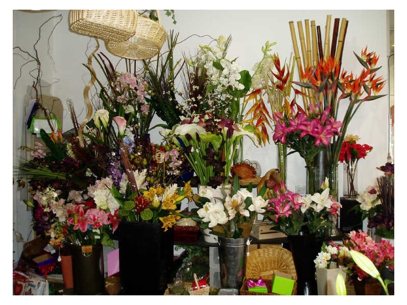 Biggera Waters QLD 4216