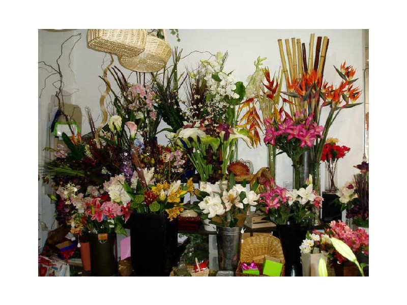 Biggera Waters QLD 4216