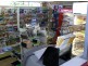Ipswich QLD 4305
