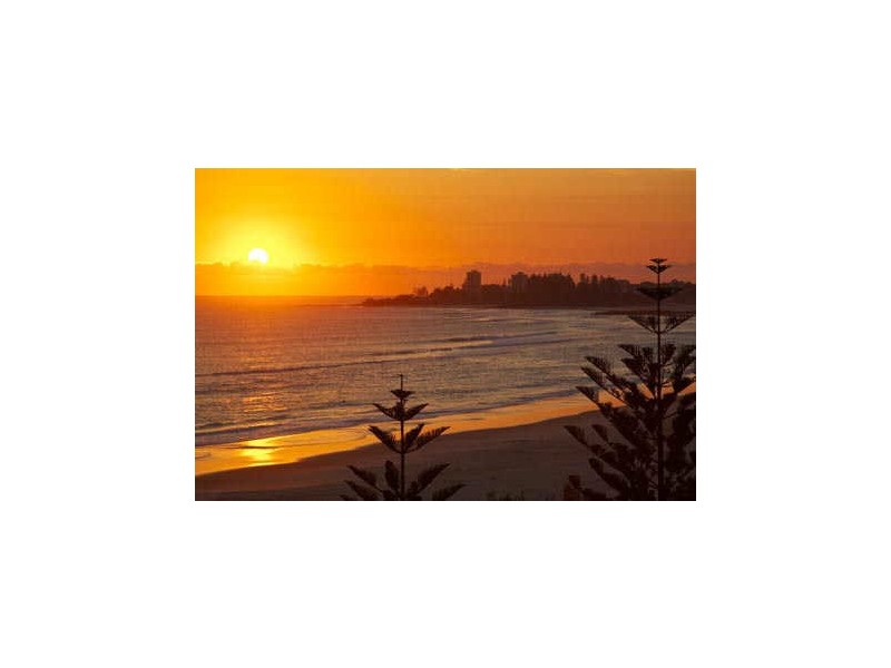 Coolangatta QLD 4225
