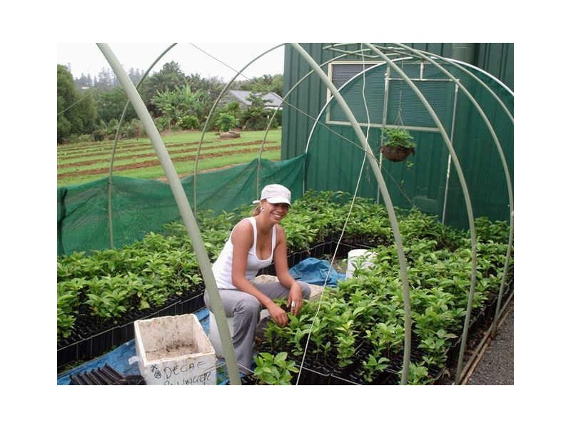 Norfolk Island NSW 2899