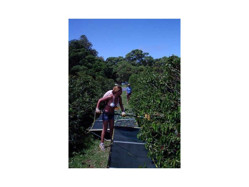 Norfolk Island NSW 2899