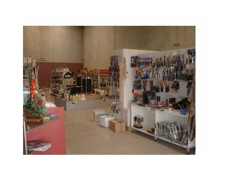 Tweed Heads South NSW 2486