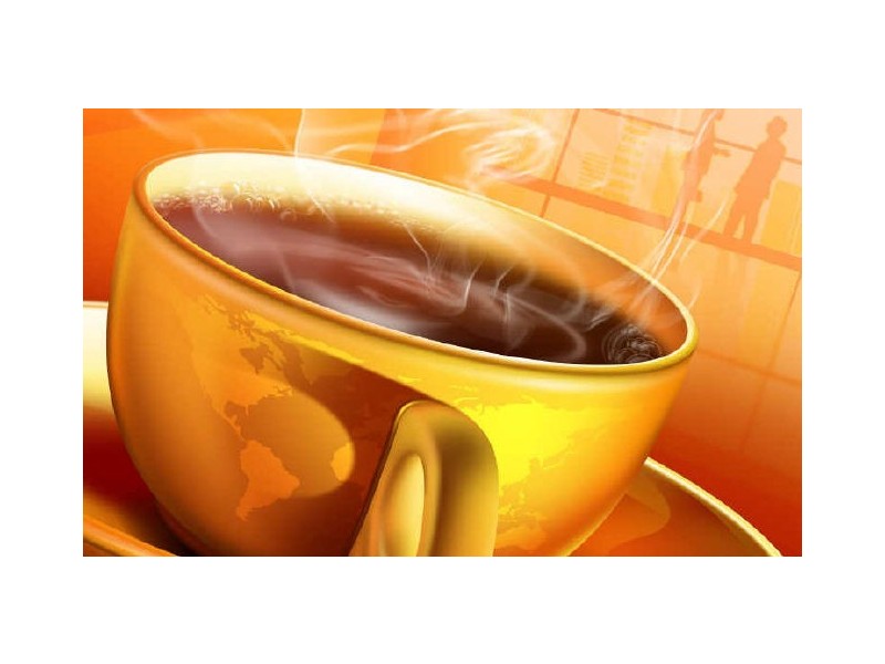 Biggera Waters QLD 4216