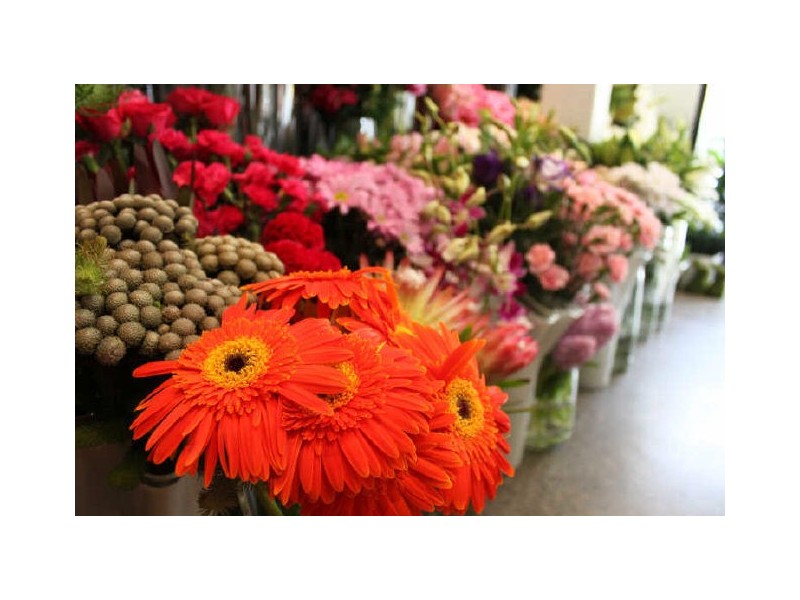 Fortitude Valley QLD 4006