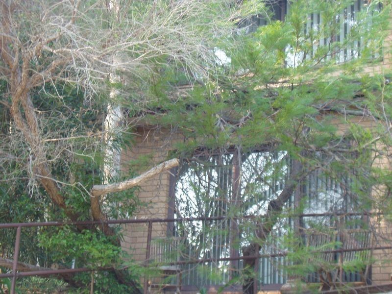 5/8-12 Orchard Street, Balgowlah NSW 2093