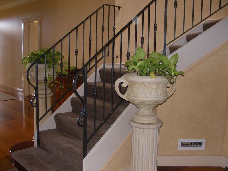 2 Gertrude Street, Balgowlah Heights NSW 2093