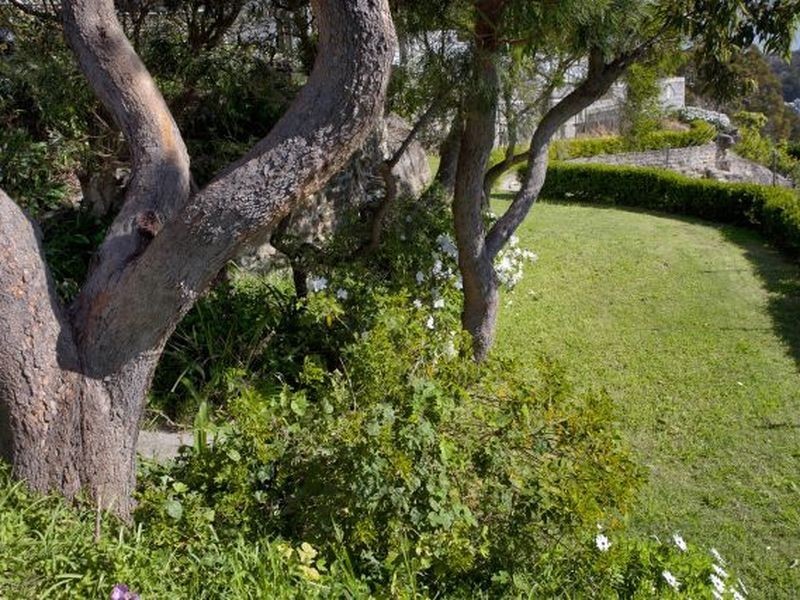 22 David Place, Seaforth NSW 2092