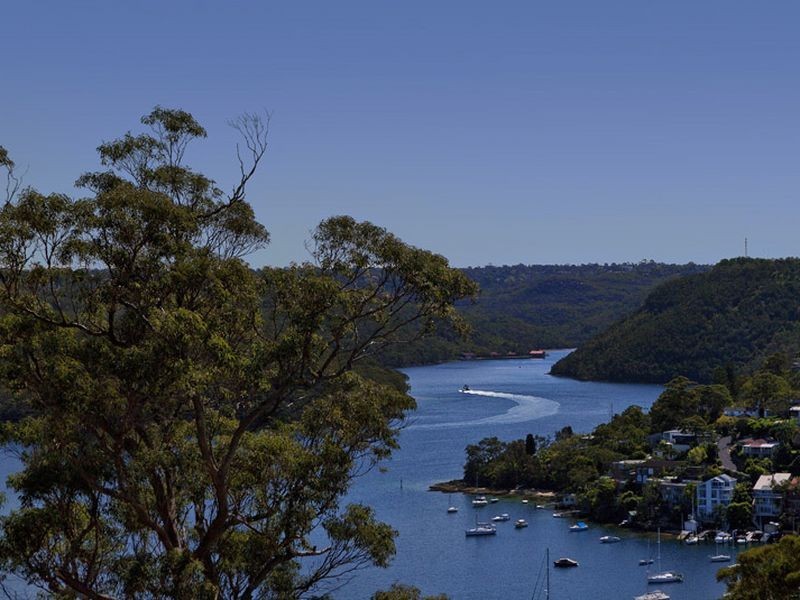 22 David Place, Seaforth NSW 2092