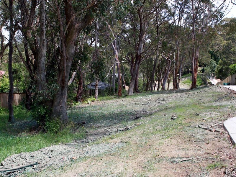 North Balgowlah NSW 2093