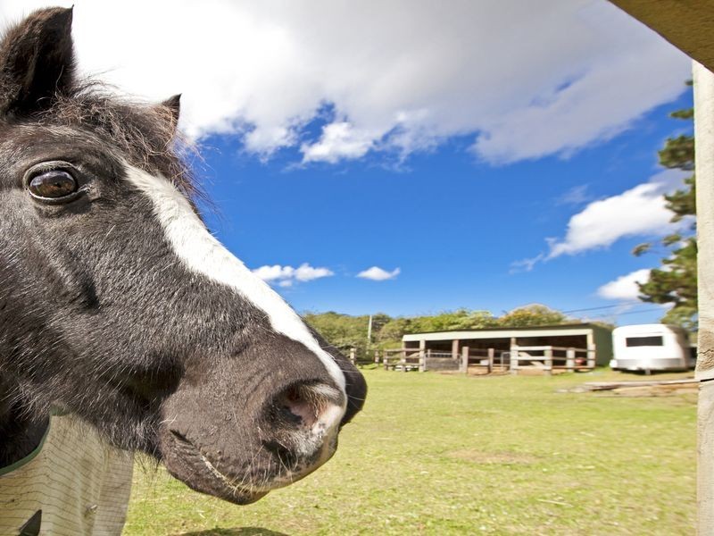 2/2 Wearden Road, Oxford Falls NSW 2100