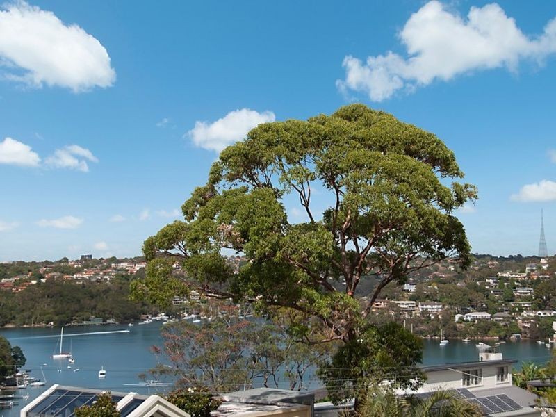 16 Jenner Street, Seaforth NSW 2092