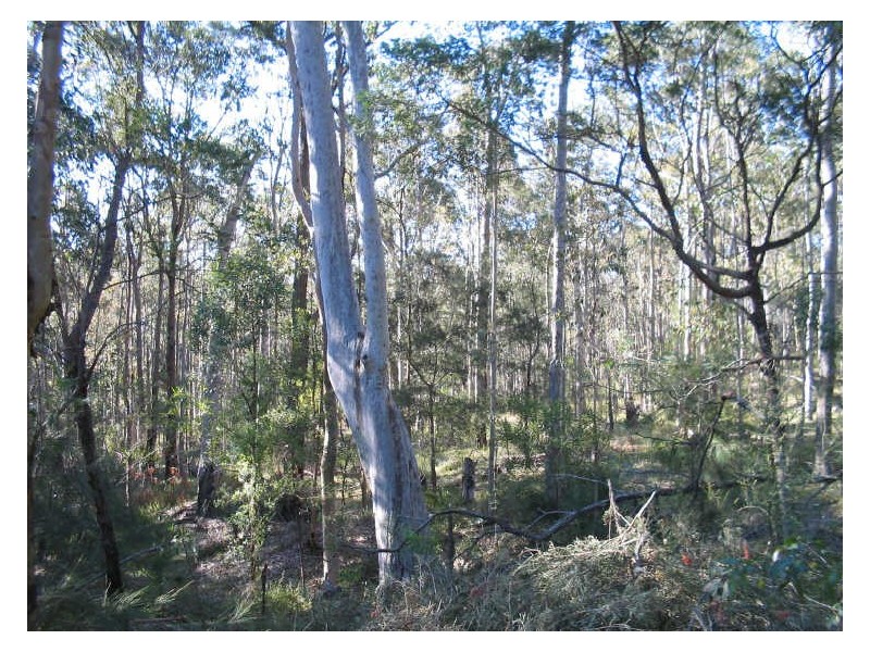 Lot 1 Dress Circle, Moruya Heads NSW 2537