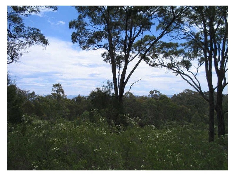 Lot 5 Malabar Drive, Moruya NSW 2537