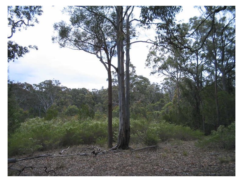 Lot 5 Malabar Drive, Moruya NSW 2537