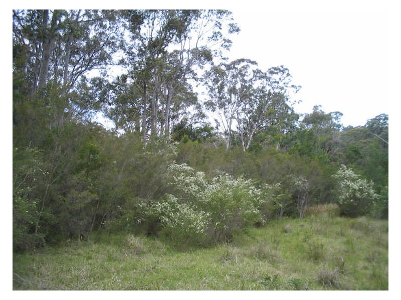 Lot 5 Malabar Drive, Moruya NSW 2537