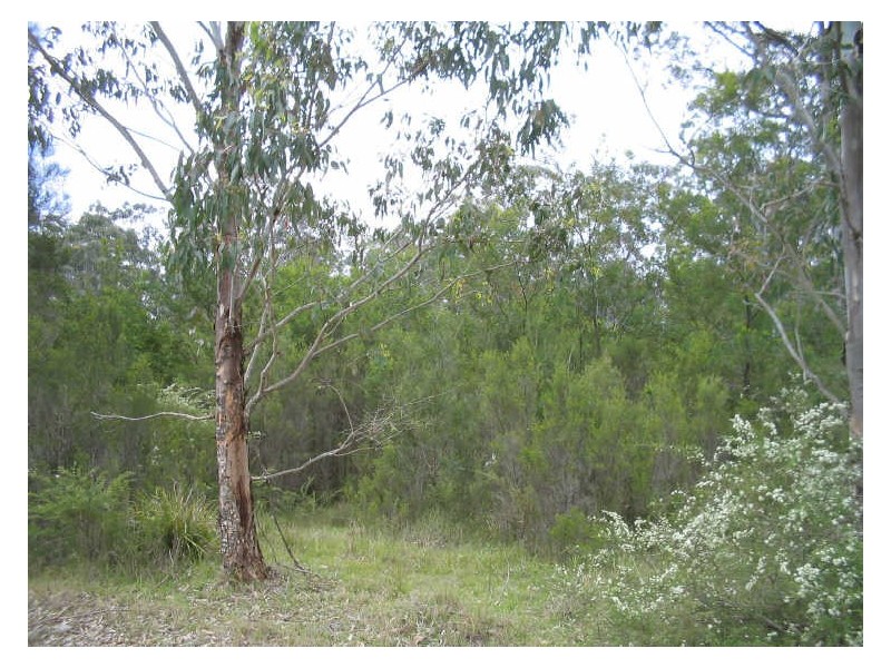 Lot 5 Malabar Drive, Moruya NSW 2537
