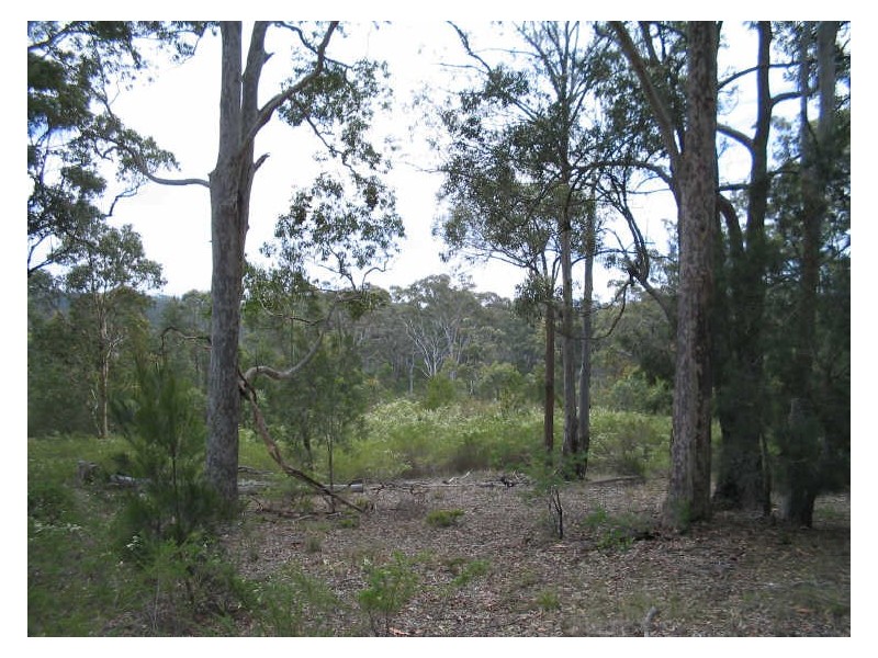 Lot 5 Malabar Drive, Moruya NSW 2537
