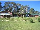 24 Brown Close, Moruya Heads NSW 2537