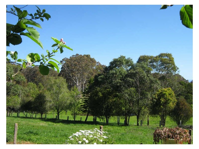 8 Wiltshire Lane, Bodalla NSW 2545