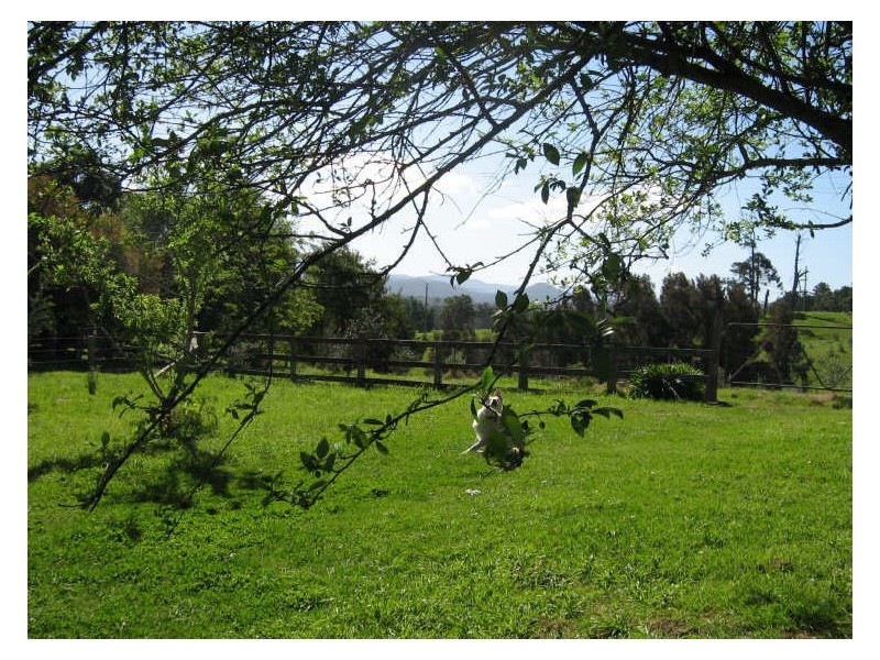 8 Wiltshire Lane, Bodalla NSW 2545