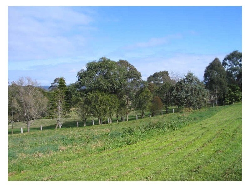 8 Wiltshire Lane, Bodalla NSW 2545