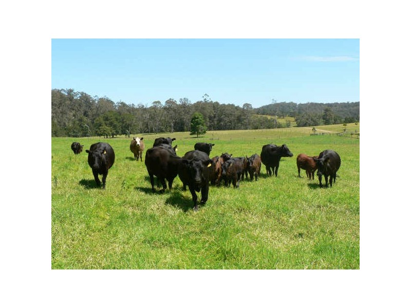 171 Stewarts Road, Moruya NSW 2537